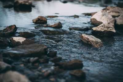 Close-up of rocks in river