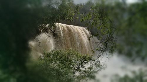 Scenic view of waterfall against trees
