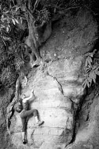 Full frame shot of tree trunk