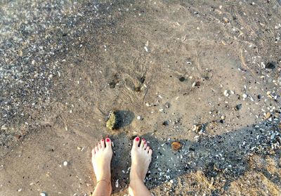 Low section of woman standing on beach