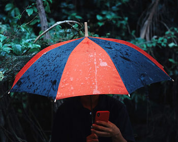 Woman holding umbrella and using phone during rainy season