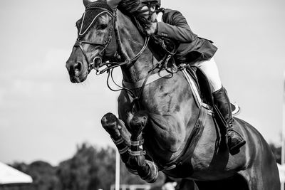 Man riding horse