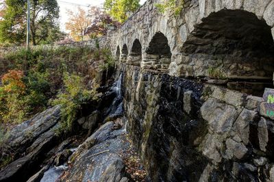 Scenic view of waterfall in forest during autumn