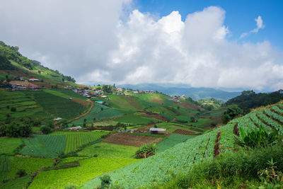 Scenic view of agricultural field against sky