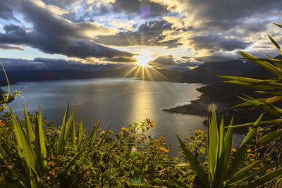 Scenic view of sea against sky during sunset