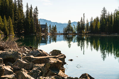 Scenic view of lake by trees against sky