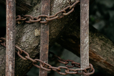 Close-up of rusty chain on metal gate