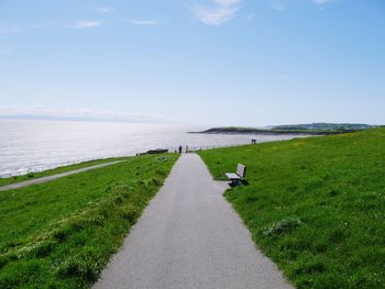 Rear view of sheep on grass by sea against sky