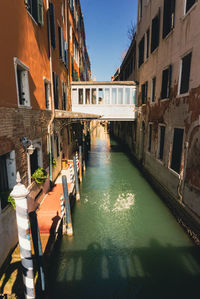 Venice hotel and residential buildings on a canal with sun beaming down