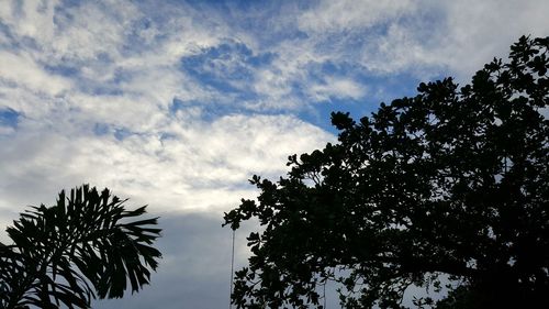 Low angle view of silhouette tree against sky