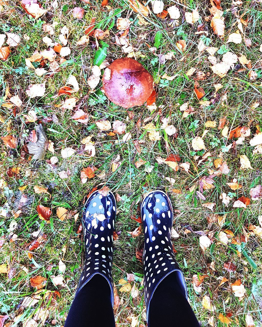 LOW SECTION OF PERSON STANDING ON FIELD BY TREE