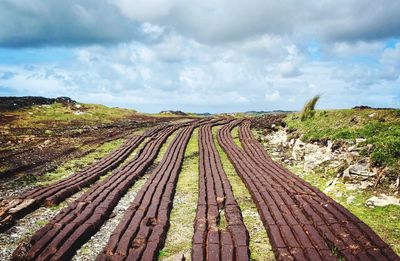 Peat lines 