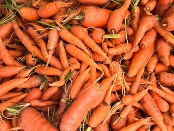 High angle view of carrots for sale at market