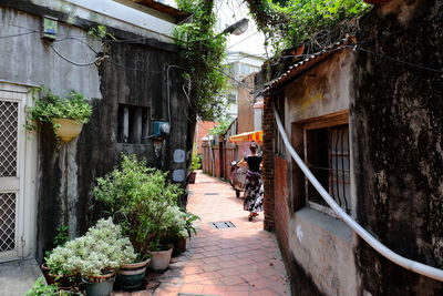 Narrow lane leading to house