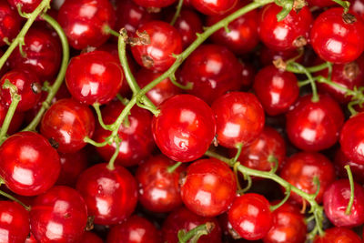 Full frame shot of cherries