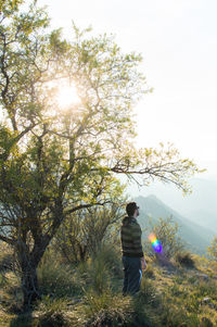 Rear view of man standing by tree against sky