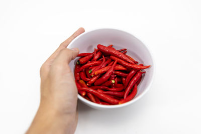 Midsection of person holding red chili pepper against white background