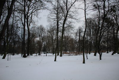 Trees on snow covered landscape