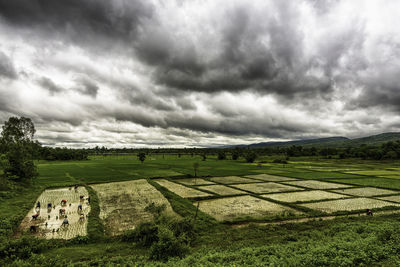 Scenic view of grassy field against cloudy sky