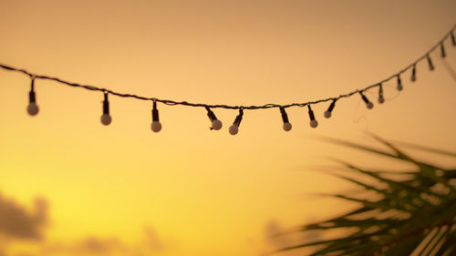 Close-up of silhouette plant against sky during sunset