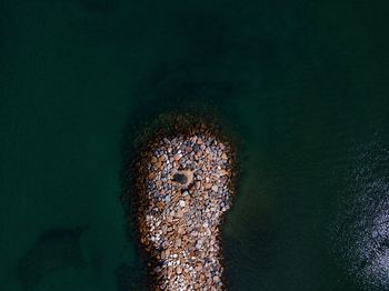 High angle view of painting on sea