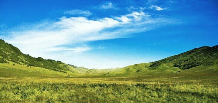 tranquil scene, tranquility, landscape, scenics, sky, grass, beauty in nature, mountain, blue, nature, green color, cloud, field, non-urban scene, idyllic, cloud - sky, mountain range, growth, remote, day