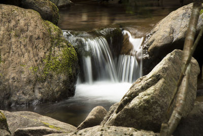Scenic view of waterfall in forest