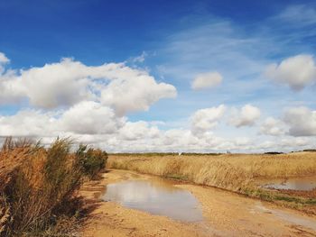 Blue sky and clouds benches