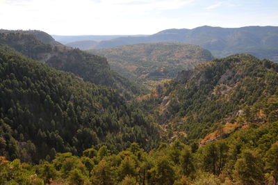 High angle view of trees and mountains against sky