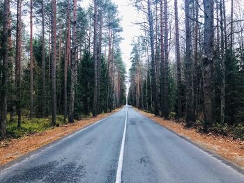 Empty road amidst trees in forest