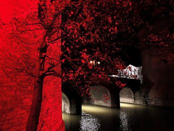 View of cherry tree by canal during autumn