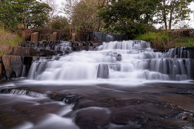 Scenic view of waterfall in forest