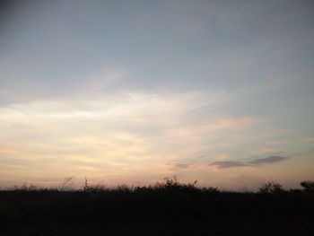 Silhouette trees on field against sky at sunset