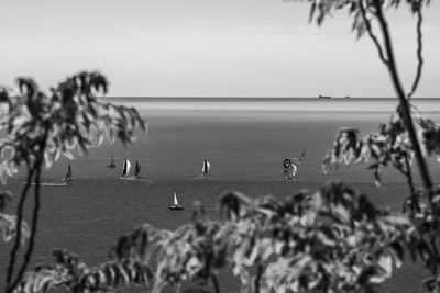 View of birds on beach against sky