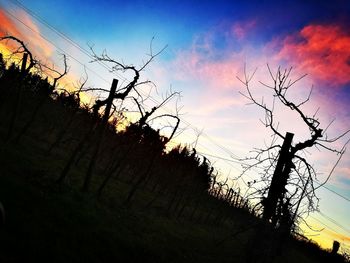 Close-up of silhouette tree against dramatic sky