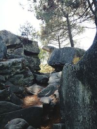 Stack of rocks in forest