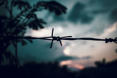 Close-up of silhouette barbed wire against sky