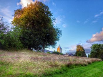 Trees on grassy field against cloudy sky