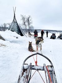 View of dog on snow covered land