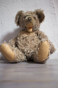 Surface level of teddy bear sitting against wall