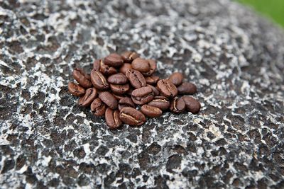 High angle view of coffee beans on table