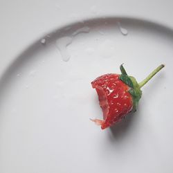 High angle view of red fruit in plate