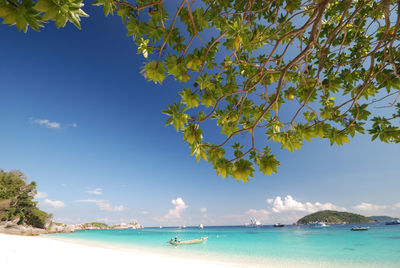 Scenic view of calm sea against sky
