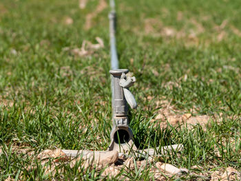 Close-up of camera on grass