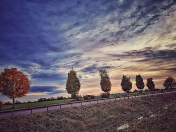 Trees on field against sky during sunset