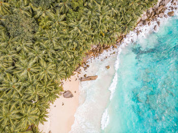 High angle view of swimming pool ocean of la digue seychelles 