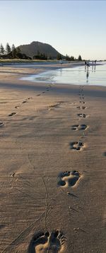 Footprints on beach against sky