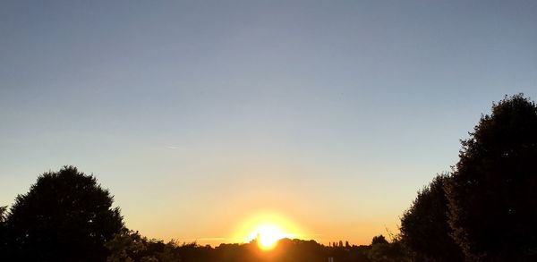 Silhouette of trees at sunset