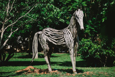 Horse standing in a field