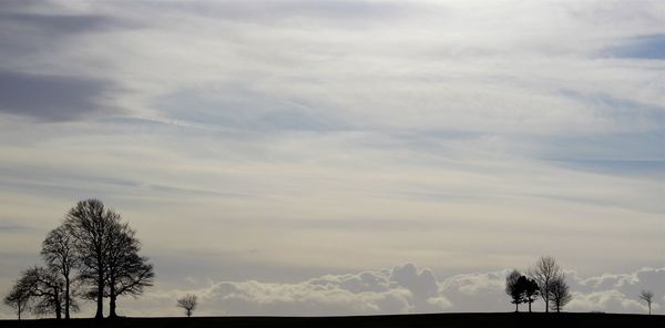 Silhouette trees against sky